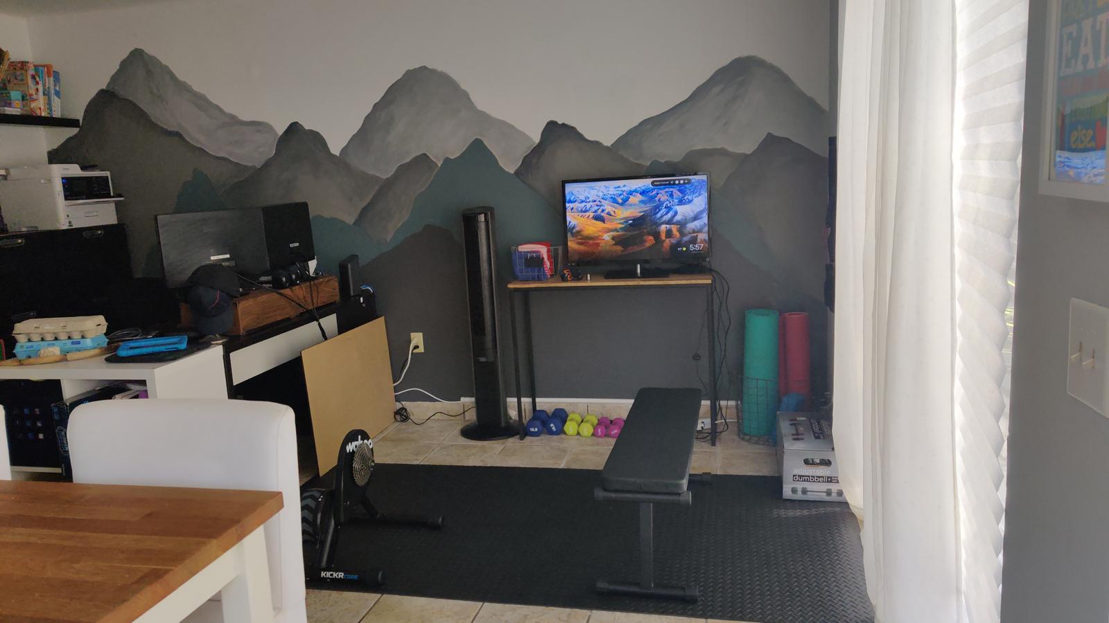 Layered mountain mural in gray, charcoal and muted blue-green tones in a home gym and workspace.