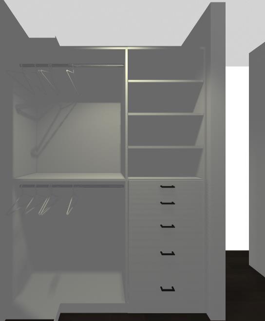 Tailored Walk-In Closet